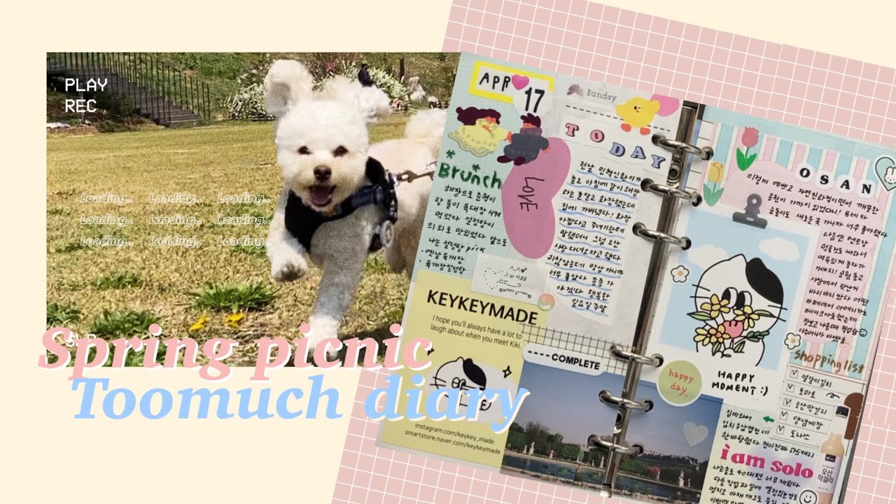 봄나들이 투머치다꾸 🌷🫶 A6 다꾸- 미니브이로그