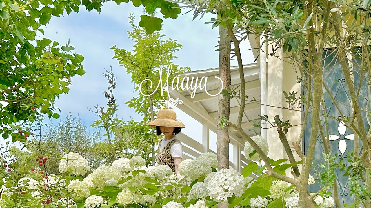 フラワー・ガーデニング maa What is a comfortable life? Make my daily life simple｜Garden