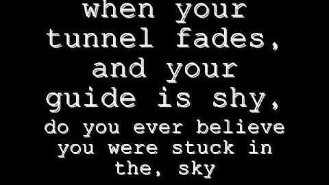 Peephole - System Of A Down (lyrical video)