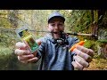 How To Fish TROUT MAGNETS In Creeks Or Rivers (WE GOT A CUTTY!!)