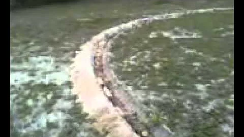 Circular Garden bed Start