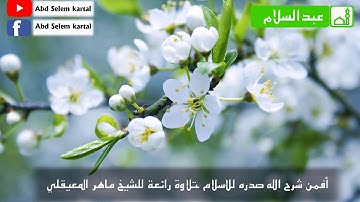 أفمن شرح الله صدره للإسلام -تلاوة رائعة للشيخ ماهر المعيقلي