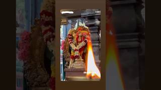 Kandha sashti kavasam #devotional # murugan # kandha-sasti #kandhasasti #murugan #shorts