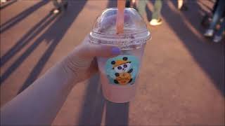 Vlog: Trying Creations Cafe and Exploring World Showcase!