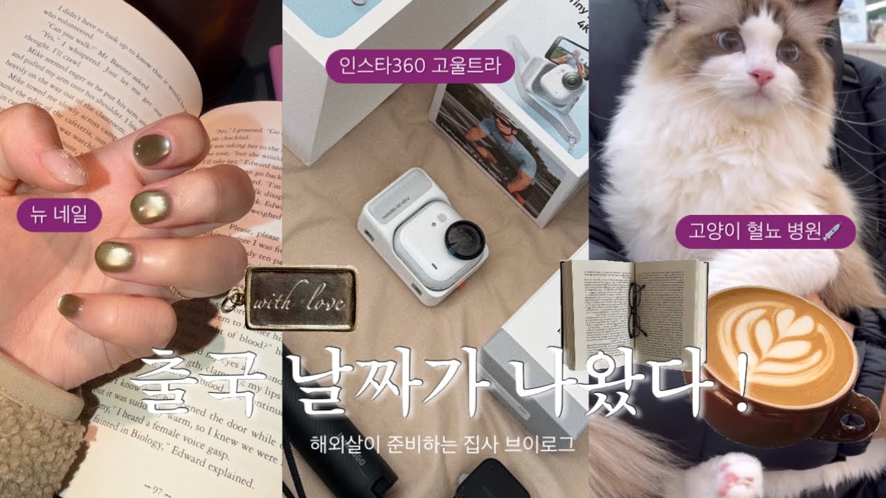 🇰🇷 ㋁ 시작 • 출국 𝗗-𝟰𝟬 | 고양이 혈뇨로 병원 다녀온 날💉| 인스타360 언박싱 & 크레마C 구매 | 전포 카페