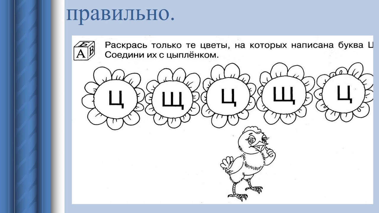 Звук и буква ц подготовительная группа