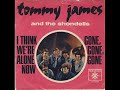 TOMMY JAMES &amp; THE SHONDELLS-&quot;I&#39;M SO PROUD&quot;(LYRICS)