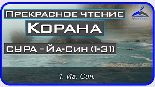 [Прекрасное чтение Корана] Сура Ясин || Махер Аль Муакли (1-31)