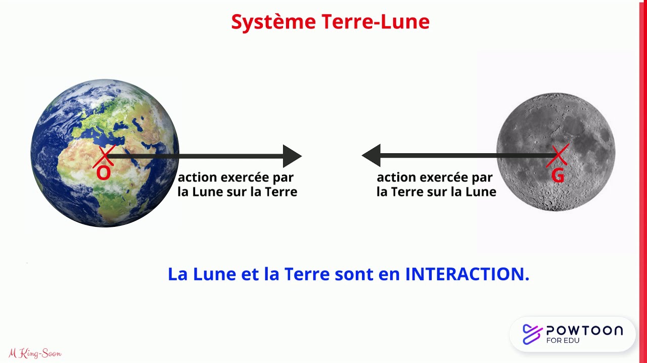 Actions mécaniques et Interactions