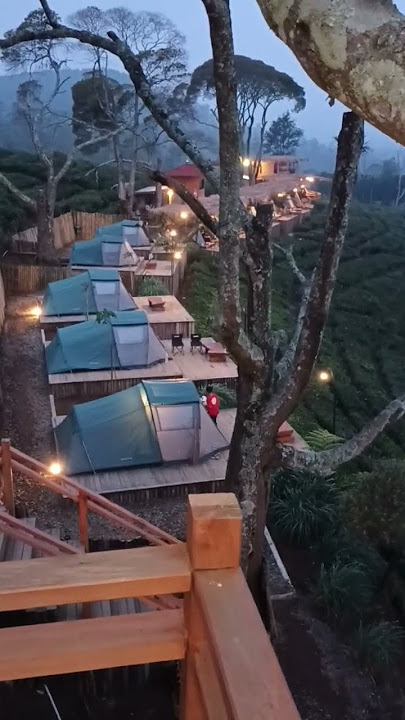tong dicengcerikan #videoshort