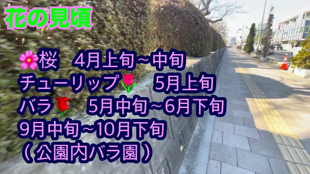2026年3月1日開成山公園に散歩しに行く動画。♯開成山♯歩く♯ラッキー公園