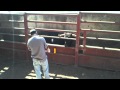 Curando una cornada de un toro en la finca "El Añadío"