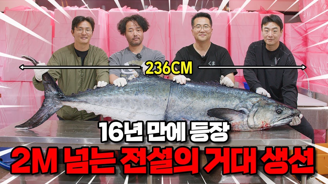 돗돔, 다금바리 보다 귀한 말로만 듣던 저립의 출몰 - YouTube