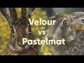 Velour VS Pastelmat Pastel Paper Comparison Velour VS Pastelmat Pastel Paper Comparison
