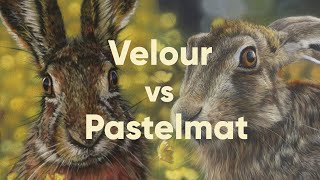 Velour VS Pastelmat: Pastel Paper Comparison screenshot 1