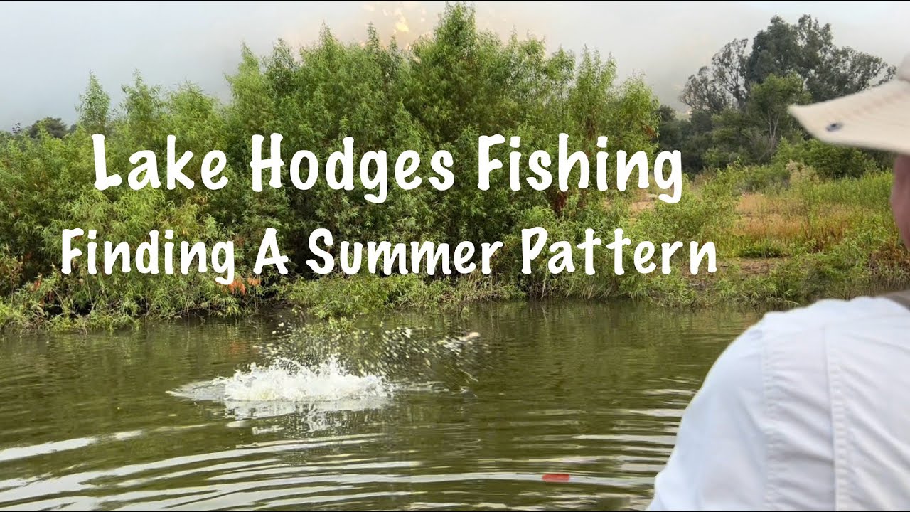 Lake Hodges Fishing: Finding A Summer Pattern - YouTube