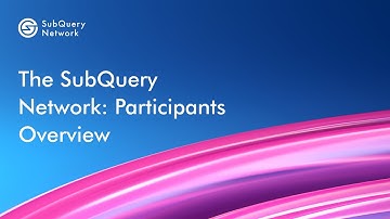 The SubQuery Network: Participants Overview