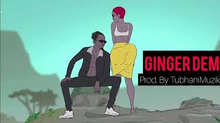 Dancehall Instrumental Ginger Dem Afrobeat Instrumental 2020