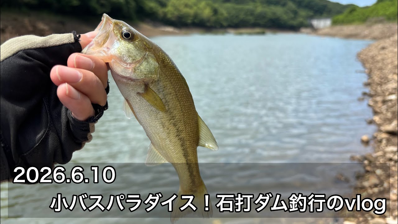 6/10 小バスパラダイス！石打ダム釣行のvlog