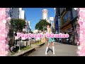 【パラパラを踊ってみた】Popteen / Domino