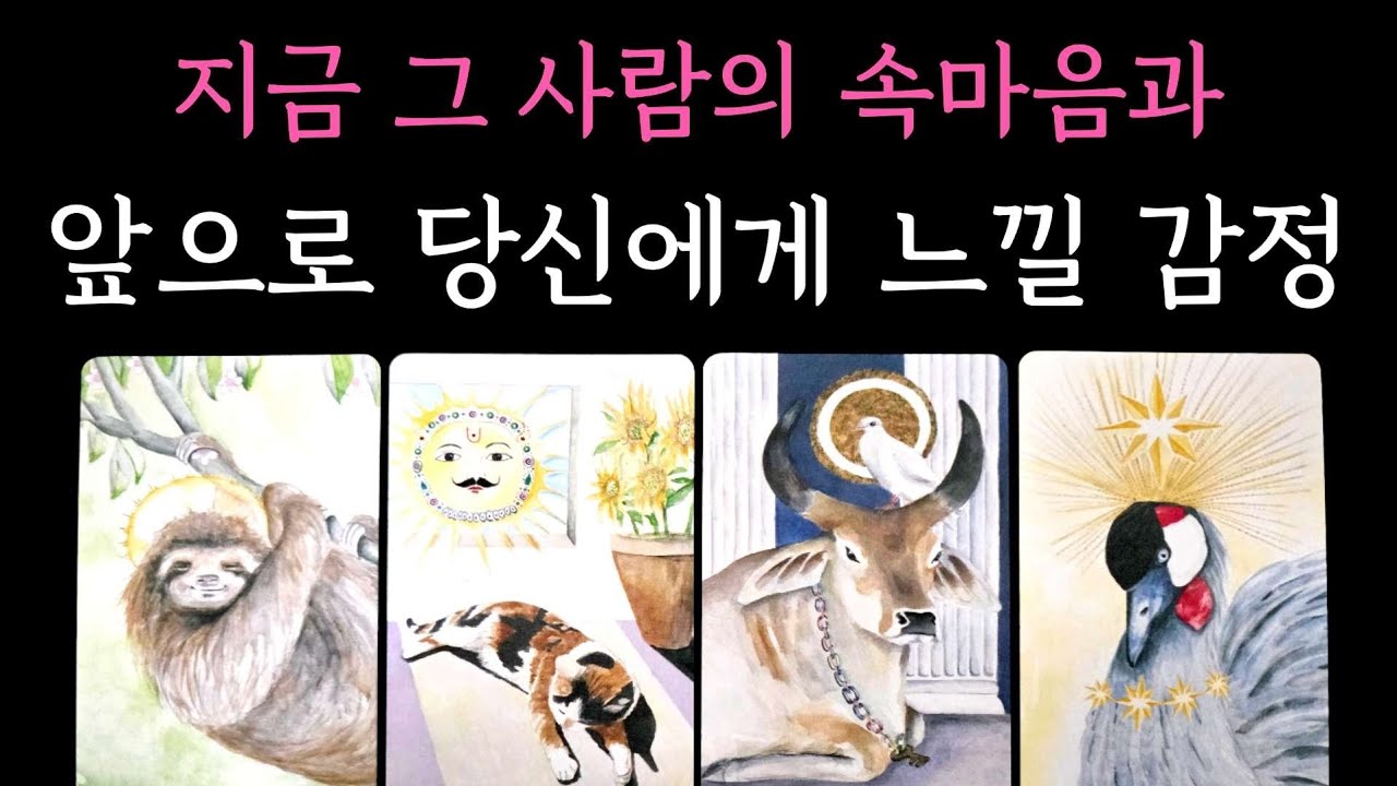 [타로] 소문난 타로🧧 지금 그 사람의 속마음과 앞으로 당신에게 느낄 감정