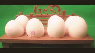3D Printing A Tray Of Eggs