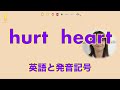 『hurtとheart』の英語発音｜発音記号と口の形とカタカナ英語（No.133）