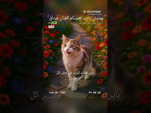 ليه ياغرام نبيل شعيل