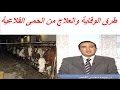 طرق الوقاية والعلاج من الحمى القلاعية فى الابقار والجاموس 