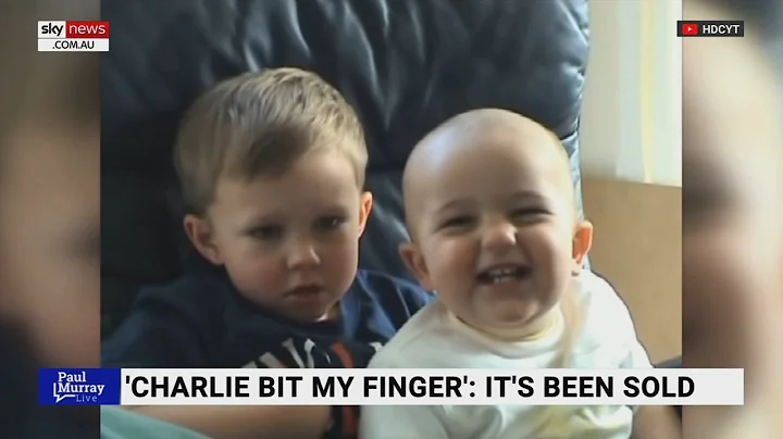 Rights to viral 'Charlie Bit My Finger' video sold at US auction