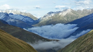 Live stream Nintendo Coco