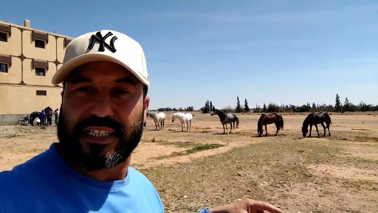 جولة في بلادي مدينة الشماعية و رأس العين و زيمة