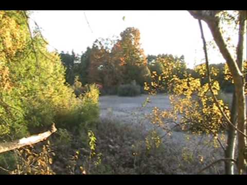 Bow Hunting - BHPtv - Hunt Journal With Brian Bauer 2009