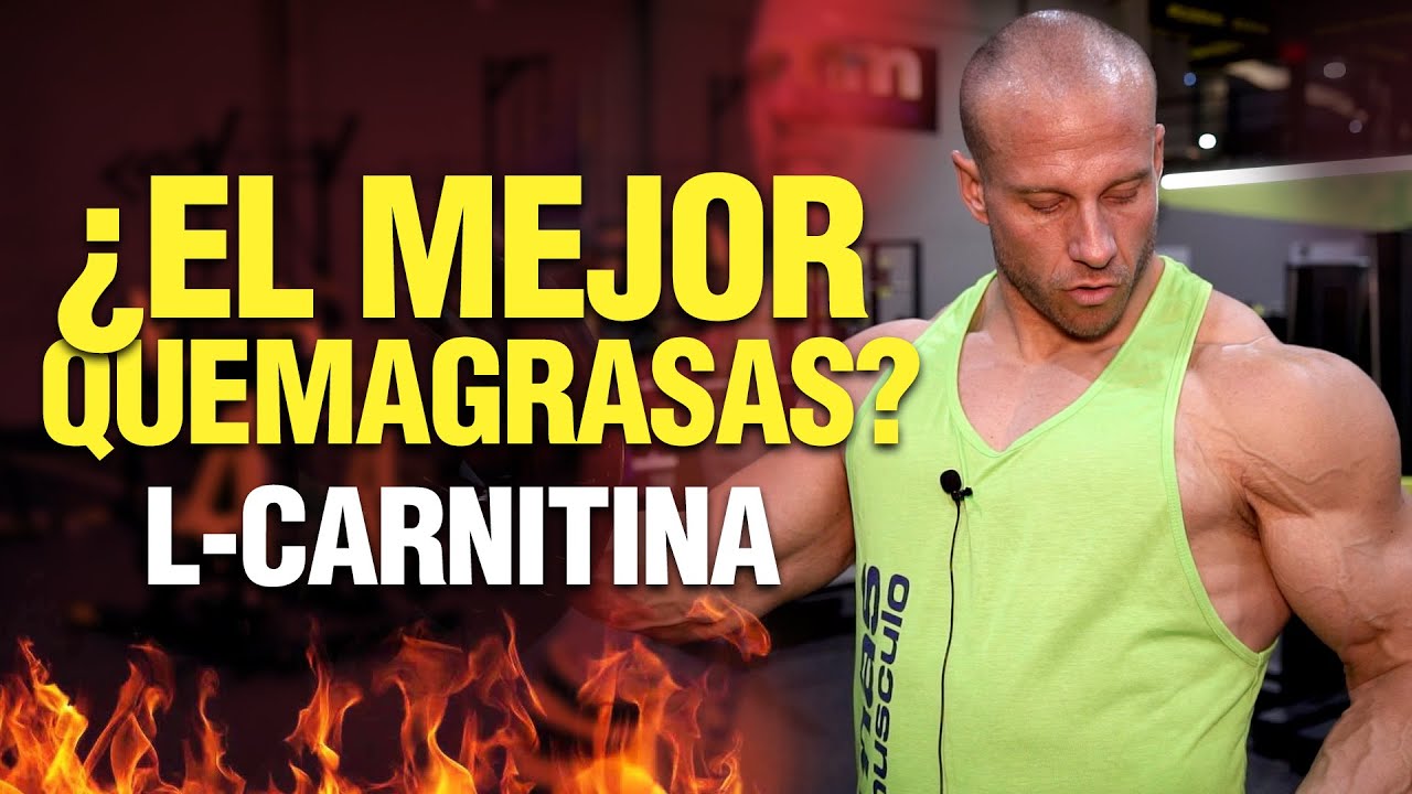 Todo sobre la LCARNITINA ¿Es el mejor 🔥QUEMAGRASAS? YouTube