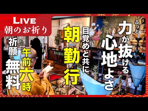 【生配信】ふっと力が抜ける安らぎの朝を ー 朝のお祈り|四国八十八ヶ所 平等寺|2025年1月31日