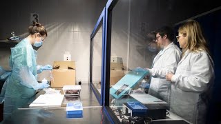 Talk: Brain surgery without scalpels