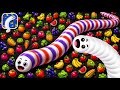 Snake Lite Gameplay Walkthrough Part 1 The Biggest Snake 😱😱