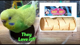 Parakeet Play Nest Woodchew Wesco Kozy Keet Playnest for Budgies