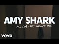 Amy shark  all the lies about me lyric