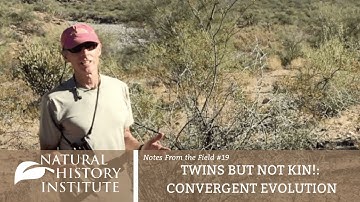 Notes From The Field - Episode 19: TWINS BUT NOT KIN!: CONVERGENT EVOLUTION
