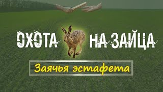 Охота на зайца. Заячья эстафета