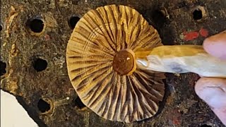Beginner Dremel Carving Mushrooms