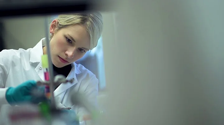 University Plan 2025: Embrace Interdisciplinarity