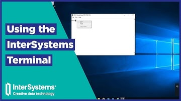 Using the InterSystems Terminal