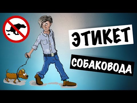 ПРАВИЛА ХОРОШЕГО ТОНА ДЛЯ СОБАЧНИКОВ | ЭТИКЕТ СОБАКОВОДА