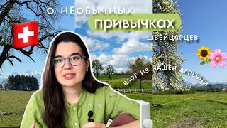 видео: ПРИВЫЧКИ парня-ШВЕЙЦАРЦА, которые меня удивили. Деревня, где мы живем в Швейцарии🇨🇭⛰ картинка: ПРИВЫЧКИ парня-ШВЕЙЦАРЦА, которые меня удивили. Деревня, где мы живем в Швейцарии🇨🇭⛰
