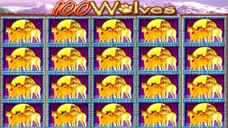★★JACKPOT HANDPAY★★$500 BETS★★100 WOLVES HIGH LIMIT SLOT MACHINE BUENO DINERO MUSEUM SLOTS IGT