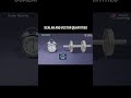 Type of physical quantities #viral #physics #scalar #vector #quantities #shorts #maths