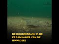 Doggerland naar rechter om sluiting Doggersbank voor sleepnetvisserij