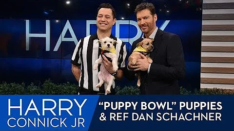 "Puppy Bowl" Pups & Ref Dan Schachner on HARRY!